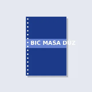 Bic Masa Düzenleyici Pro