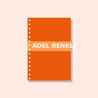 Adel Renkli Kartonla Pro